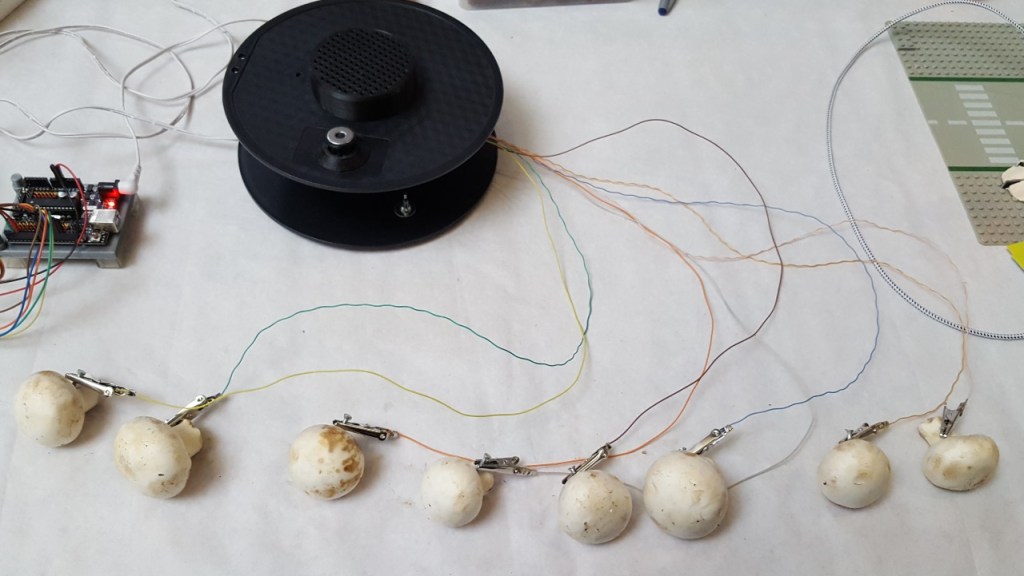 Le Piano Champignons