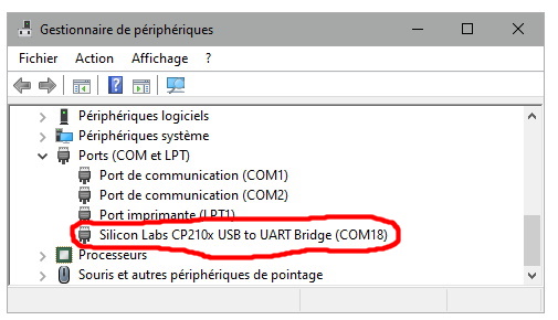 La carte est bien reconnue par Windows 10
