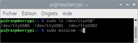 Lancement de Minicom